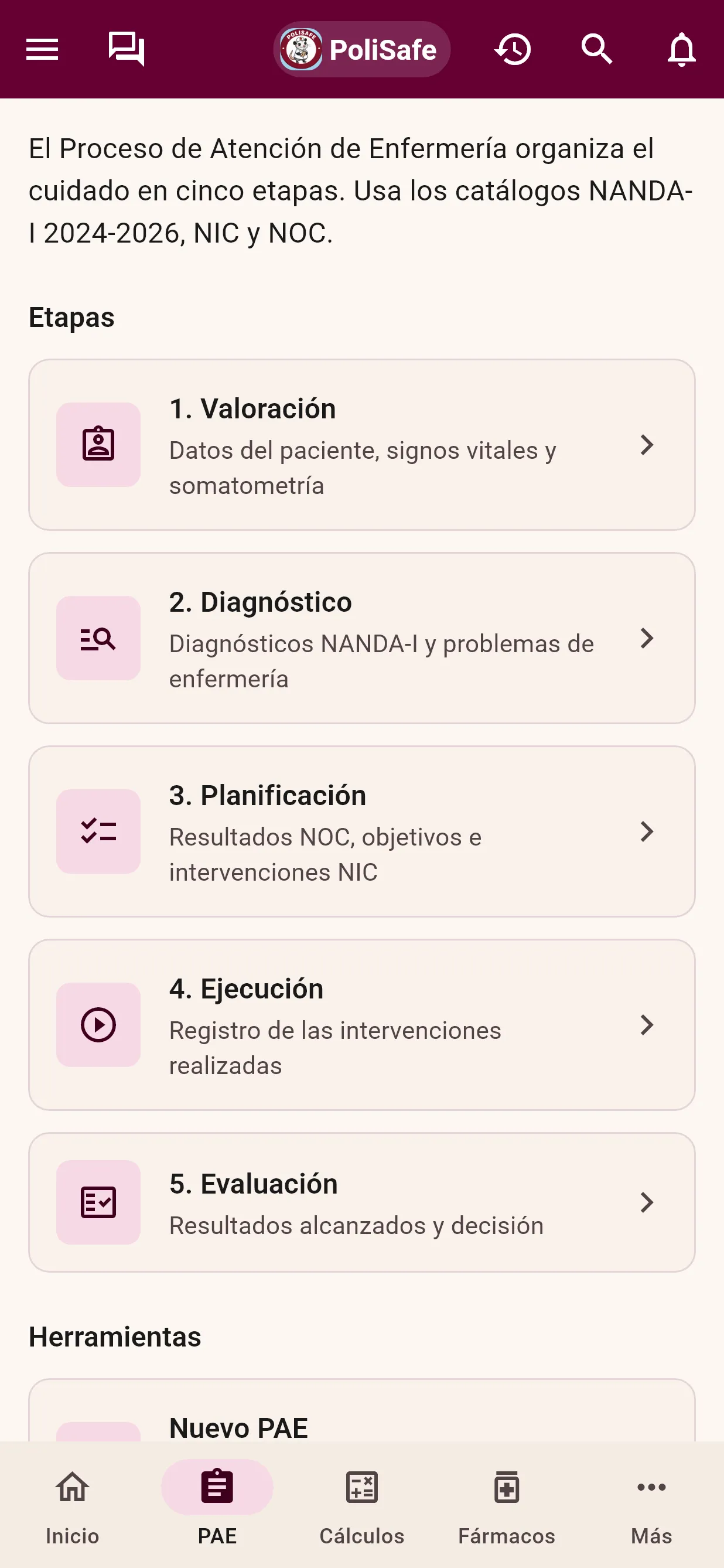 Pantalla PAE con las cinco etapas: Valoración, Diagnóstico, Planificación, Ejecución y Evaluación.
